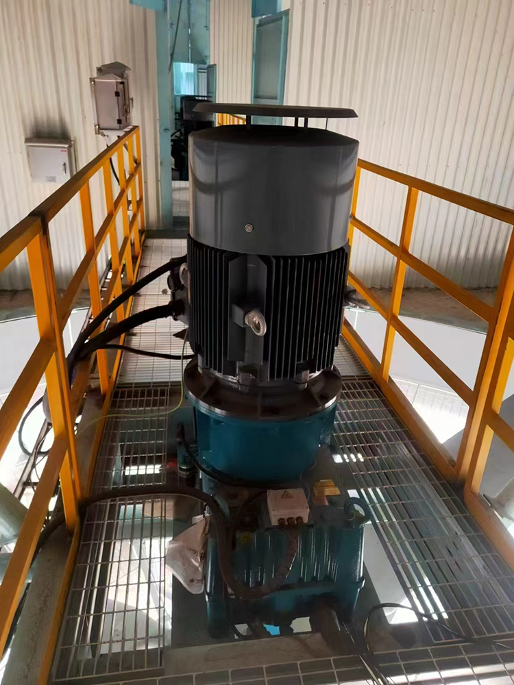 Поездка Hansen Transmission в Россию (2)