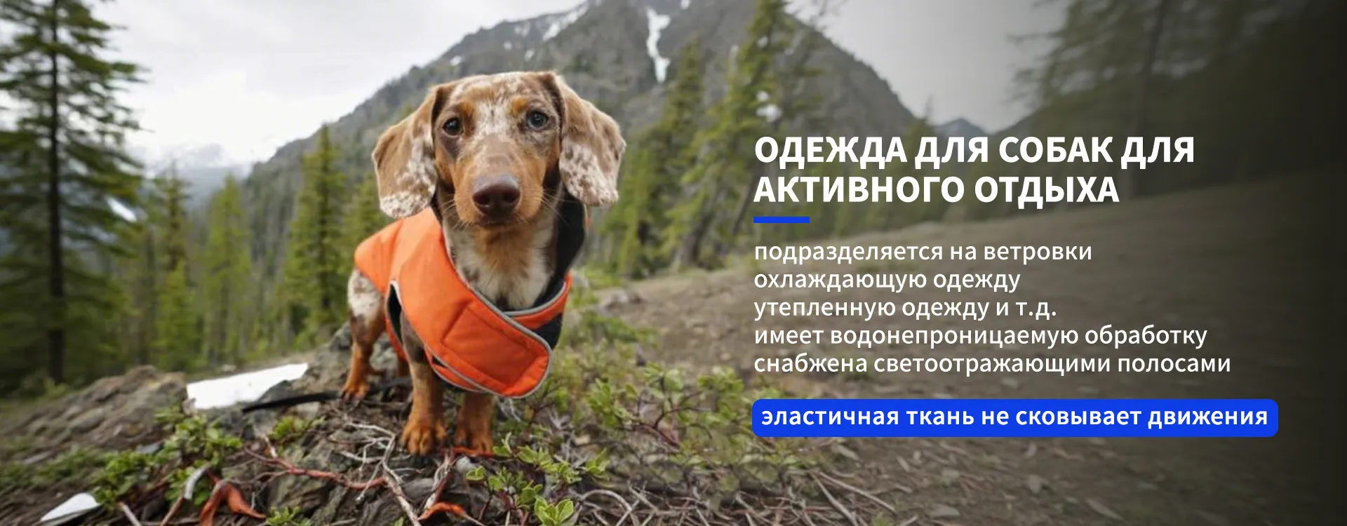 Поводок для домашних животных banner1