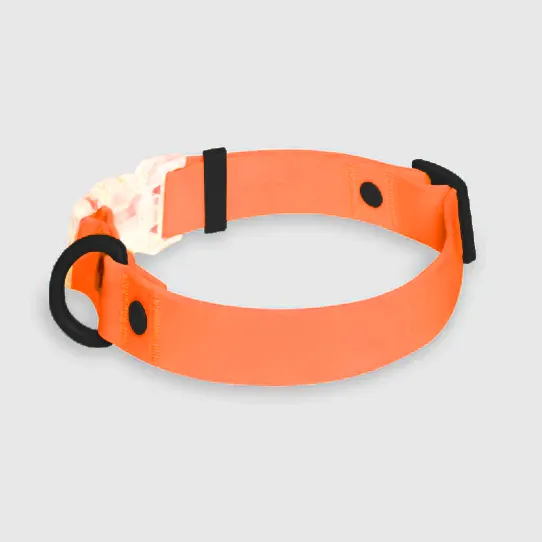 Ошейник для домашних животных из водонепроницаемой ПВХ-стропы