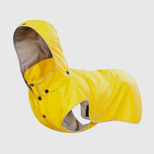 Питомец дождевик для активного отдыха