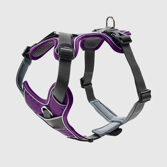 Универсальная шлейка для домашних животных