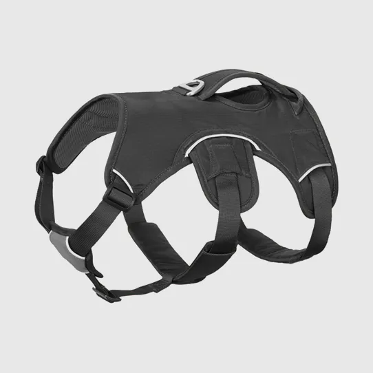 Универсальная шлейка для домашних животных