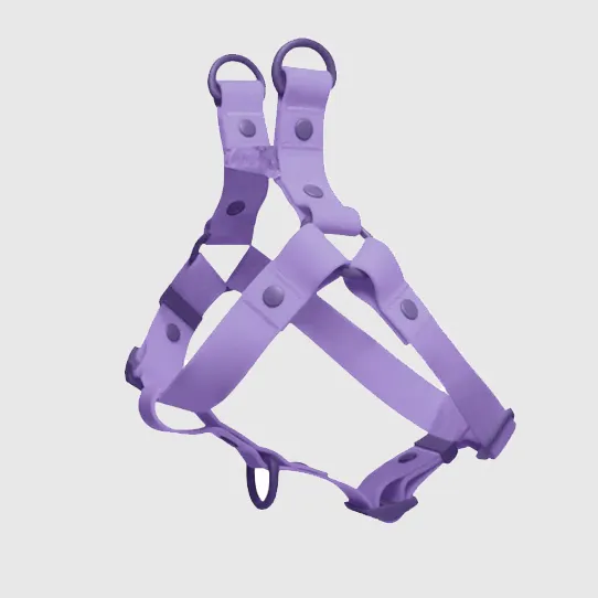 Шлейка для домашних животных из стропы