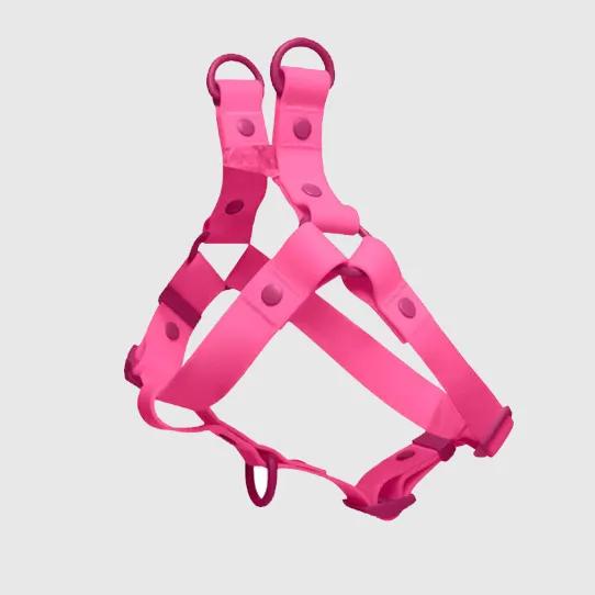 Шлейка для домашних животных из стропы