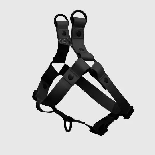 Шлейка для домашних животных из стропы