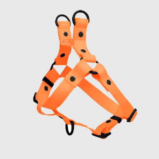 Шлейка для домашних животных из стропы