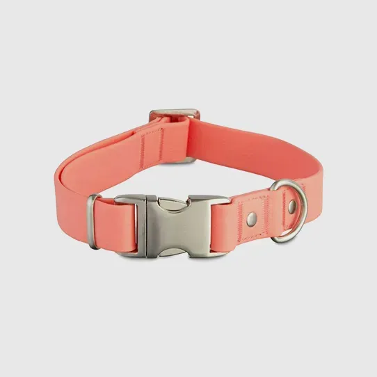 Комфорт и безопасность: PURELAND представляет новую линейку ошейников — новый подход к уходу за шеей питомцев