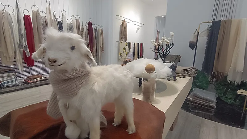 Презентация множества новинок, открывающих новые возможности для отрасли (5)