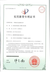 Научно-исследовательские достижения (47)