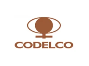 Партнеры (14)