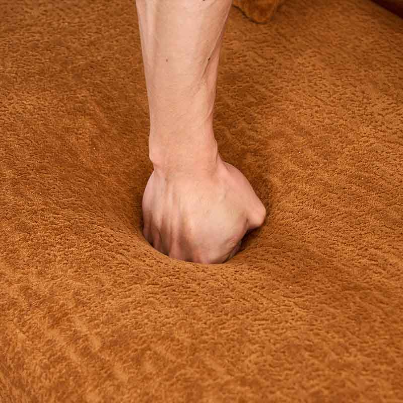 022OR
