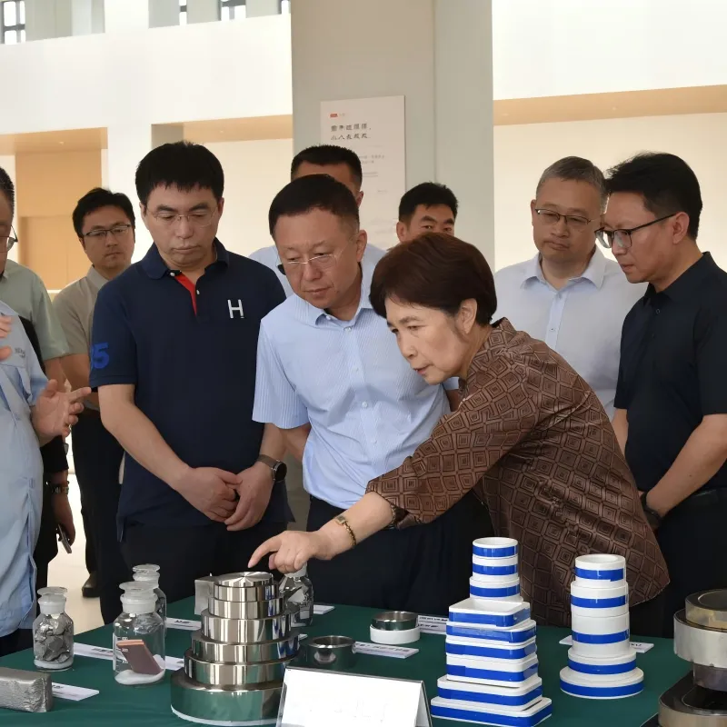 Заместитель начальника отдела маркетинга Государственной электросетевой корпорации Китая (State Grid) Ду Синьган и сопровождающая его делегация посетили компанию Tianji с целью проведения специального исследования, посвященного подцепочке измерительных трансформаторов в рамках современной производственной цепочки новой энергосистемы