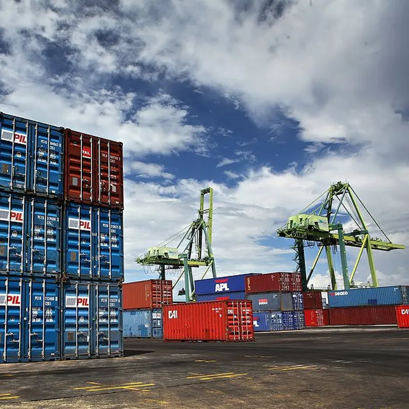 Фанера на основе бамбука становится новой точкой роста в контексте углеродной нейтральности