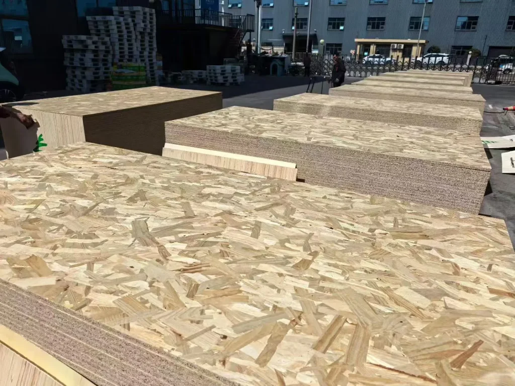 微信图片_20260108163258_5265_6