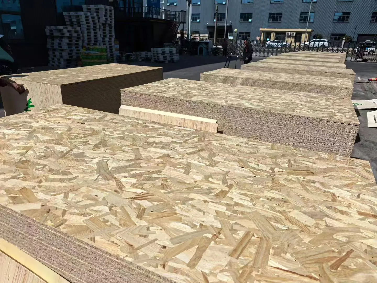 微信图片_20260108163258_5265_6