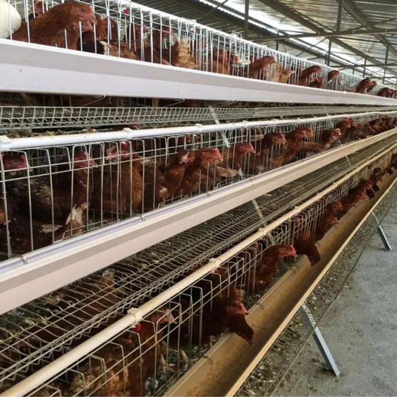 3-ярусная клетка для кур-несушек