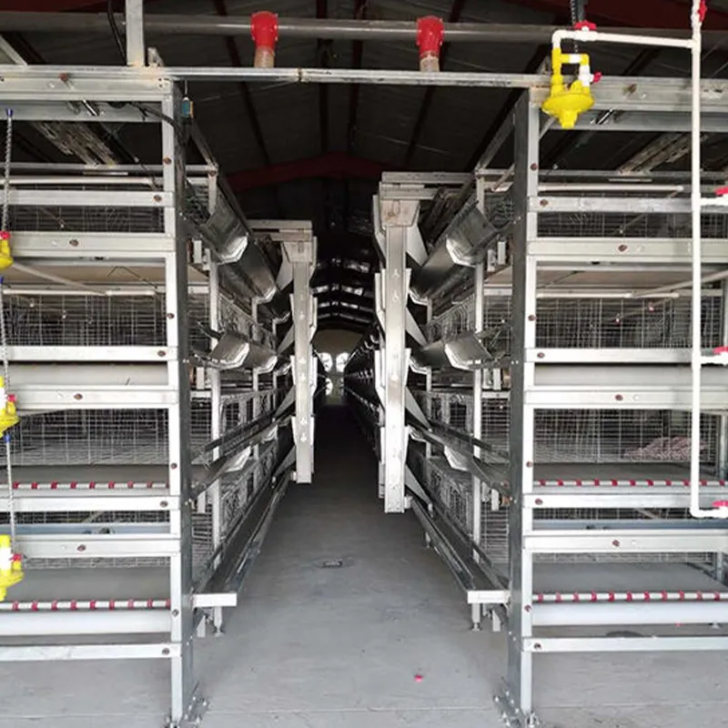 4-ярусная клетка для птицы