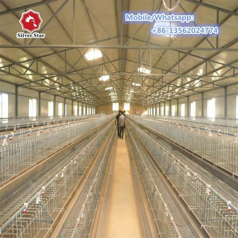 4-ярусная клетка для цыплят