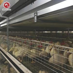 Клетки для мясных уток