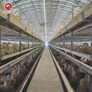 Клетки для уток