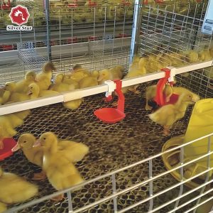 Клетки для уток