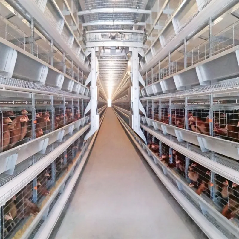 8-ярусная батарейная клетка для кур-несушек