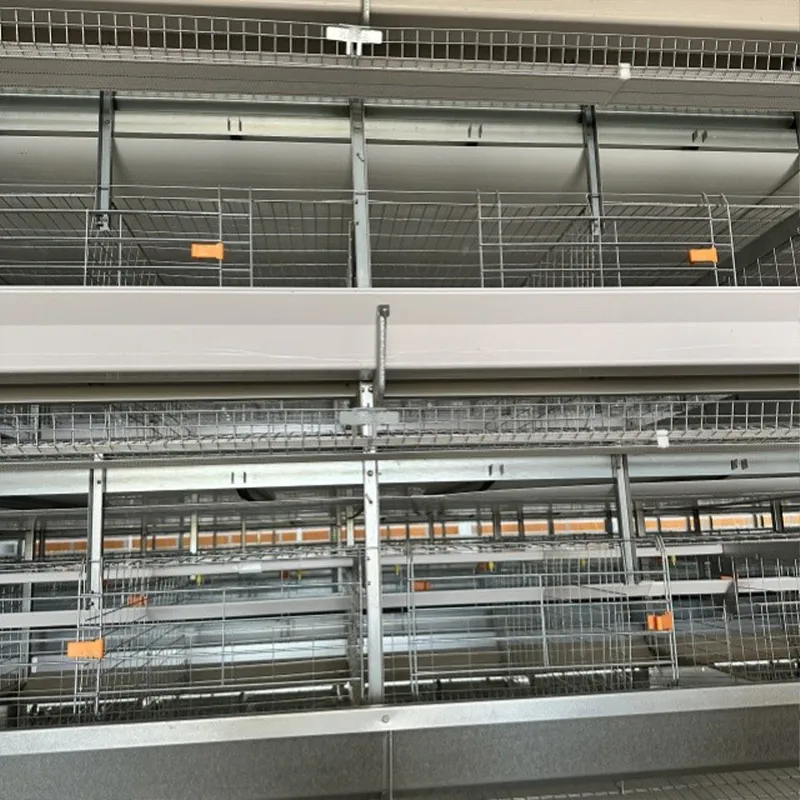 8-ярусная батарейная клетка для кур-несушек