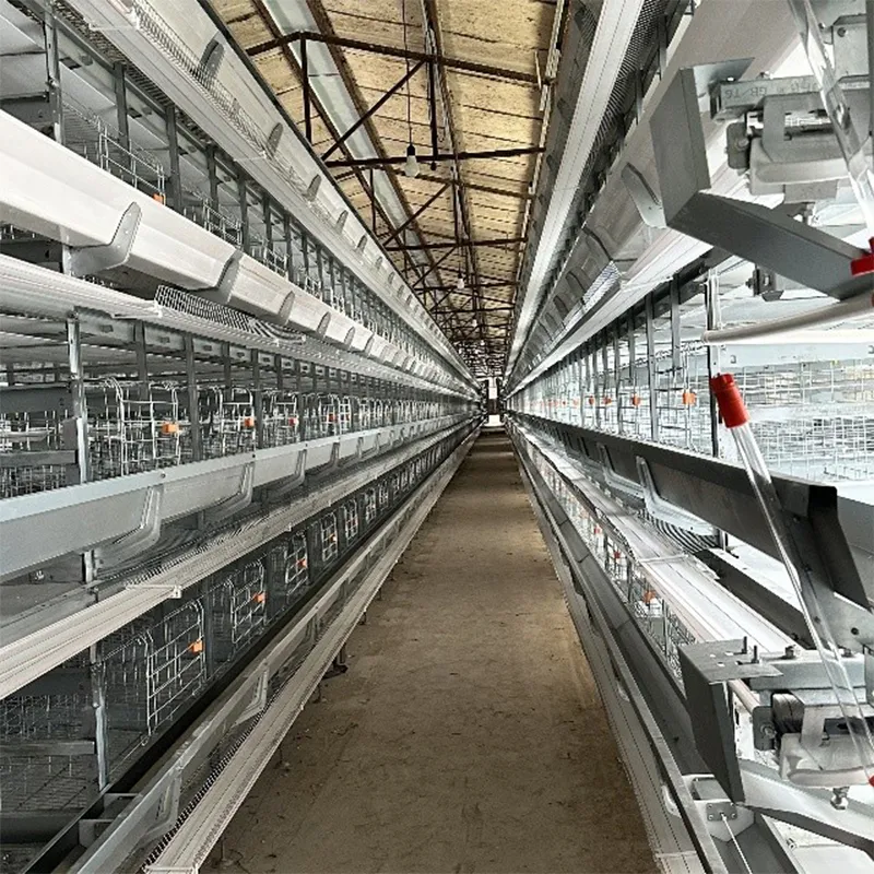 8-ярусная батарейная клетка для кур-несушек