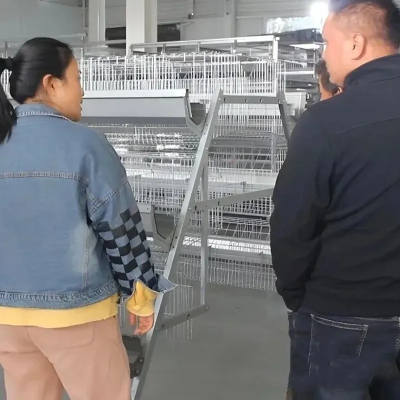 Практический опыт — и всё ясно! Компания «Хэнань Иньсинь» по производству оборудования для животноводства успешно заключила соглашение о сотрудничестве.