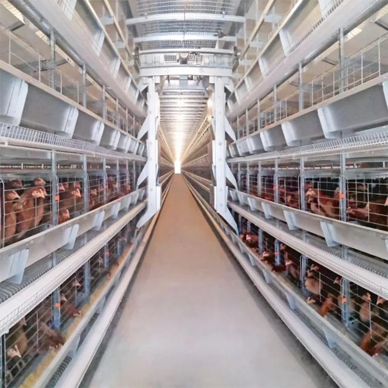 Автоматическая система кормления птицы толщиной 1,2 мм