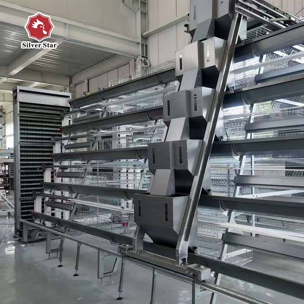 Автоматические клетки для несушек-3