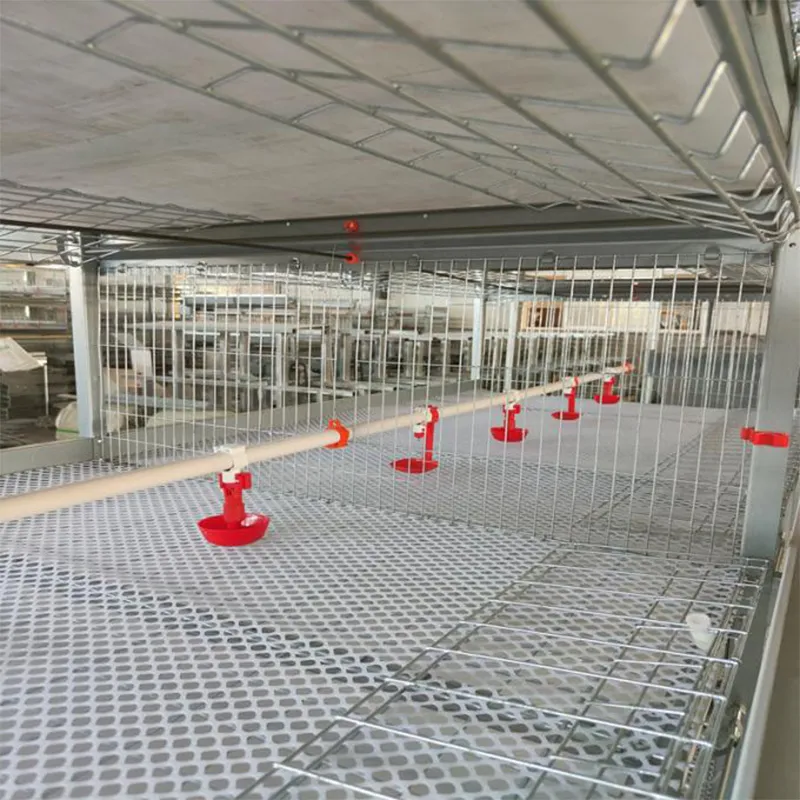 Клетка для бройлеров размером 1500×1000 мм с системой поения птицы