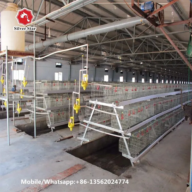 Клетка для кур-несушек из оцинкованной стали Q235A