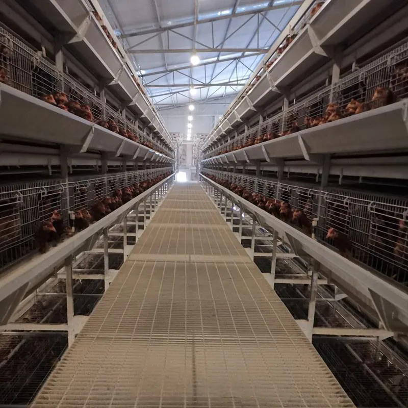 Клетка для кур-несушек размером 650×625×500 мм