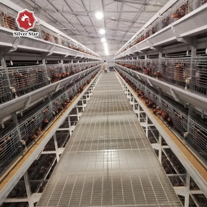 Клетка для кур-несушек размером 650×625×500 мм