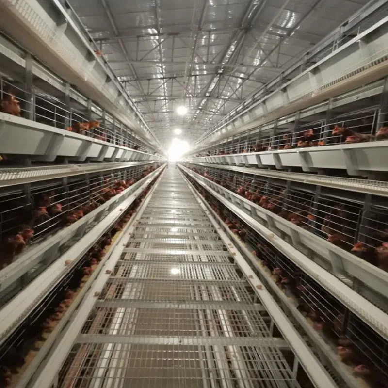 Клетка для птицы ISO9001