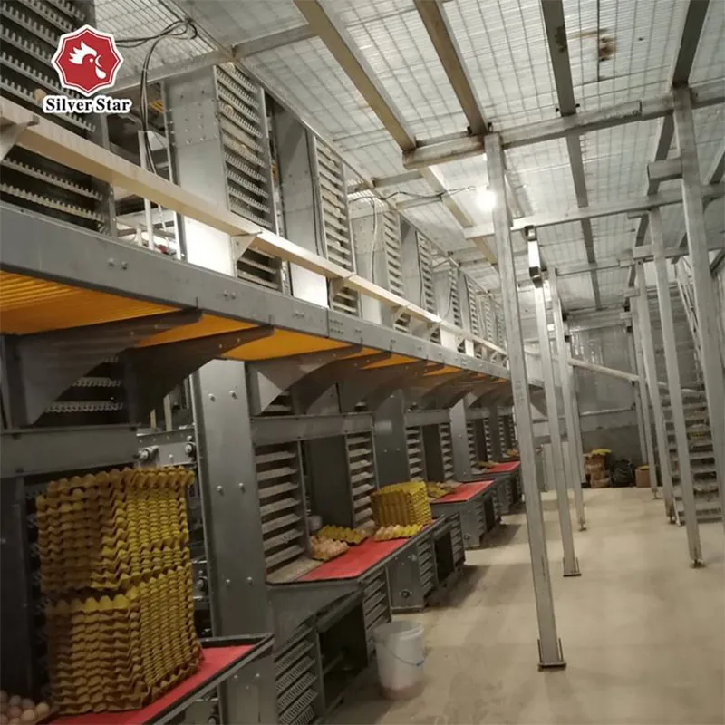 Клетка для птицы ISO9001