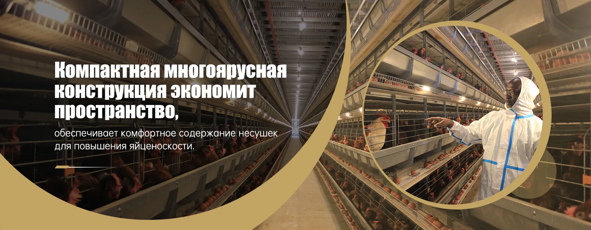 Клетка для птицы-banner2