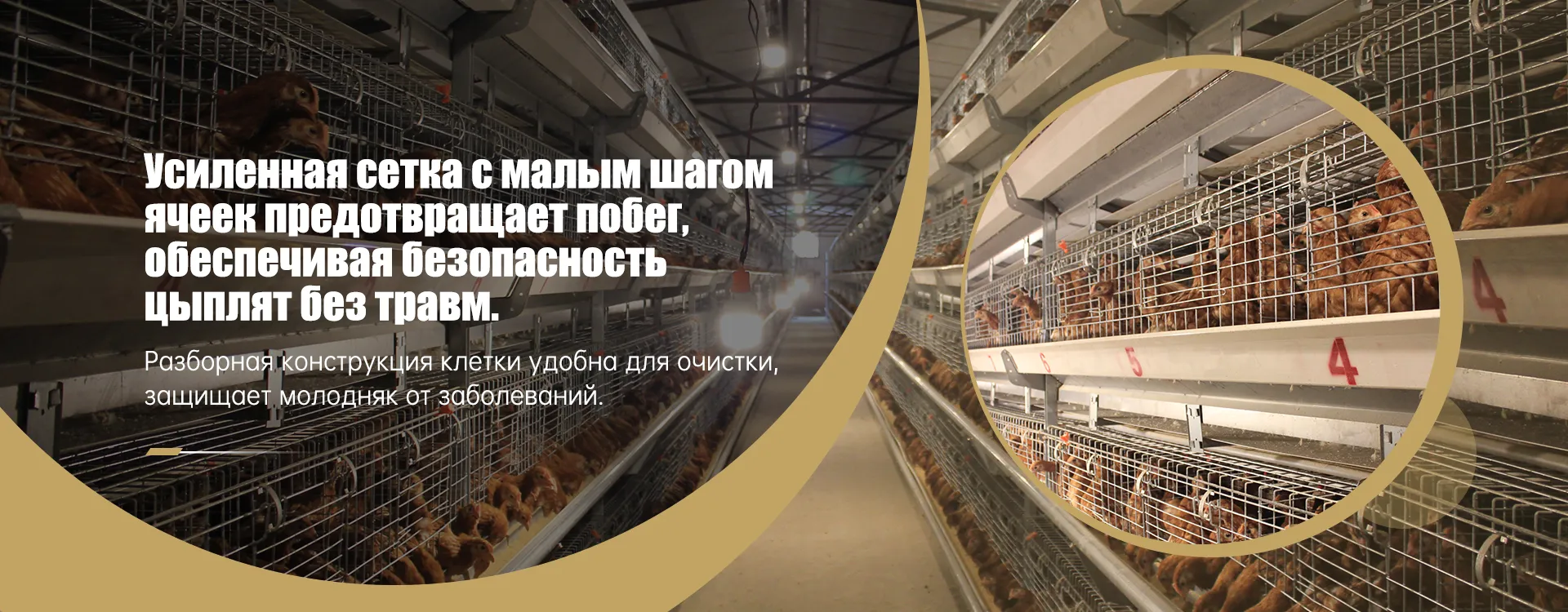 Клетка для птицы-banner3