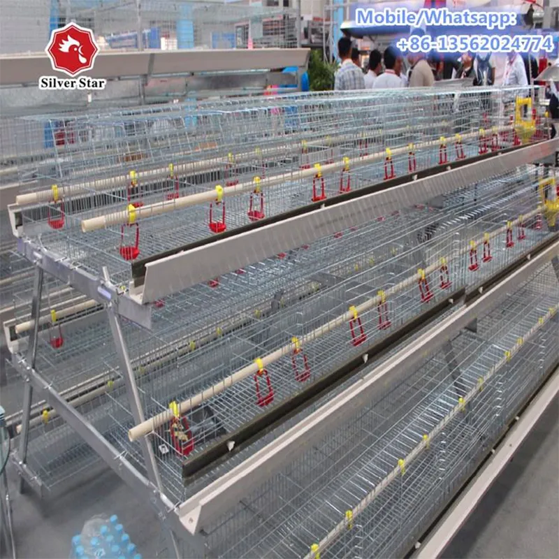 Клетка для цыплят на 40 000 голов