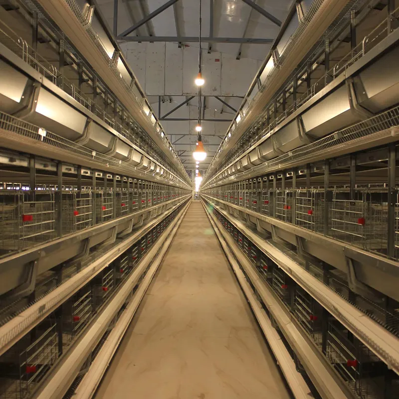 Оборудование для 4-ярусных батарейных клеток для кур