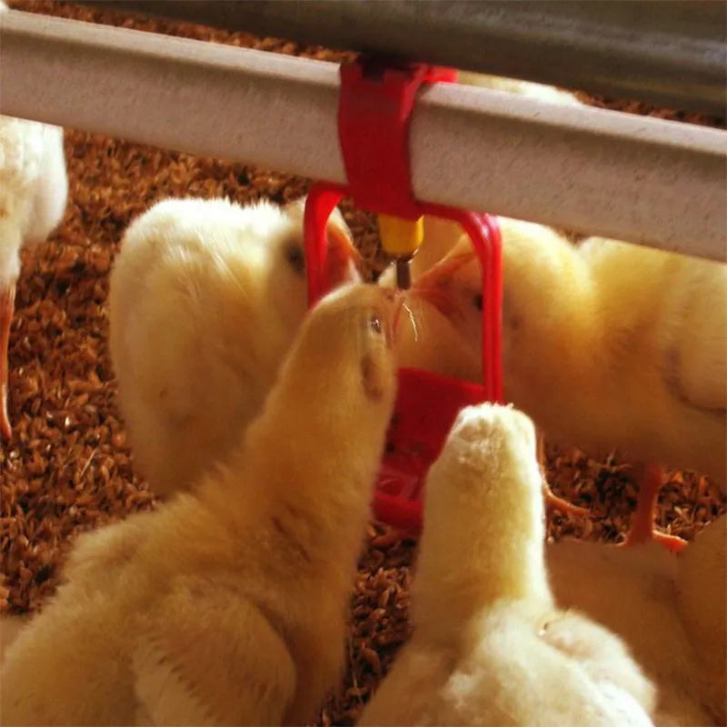 Оборудование для бройлеров диаметром 45 мм