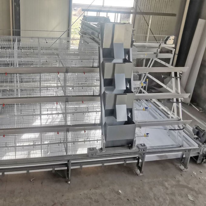 Полностью автоматическая система очистки навоза в клетке для цыплят.