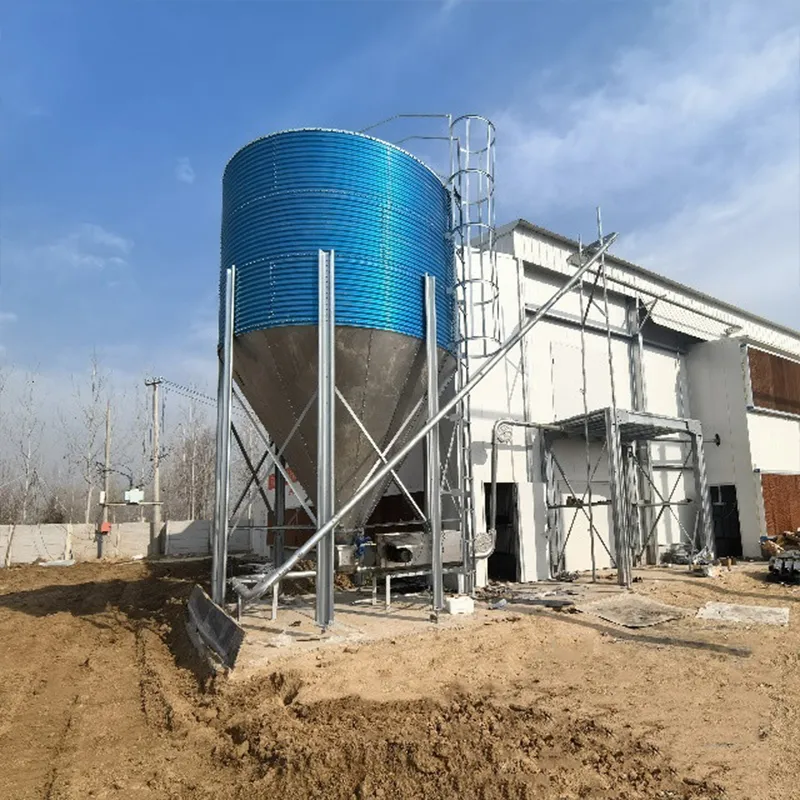 Полностью автоматические клетки для несушек для современных ферм