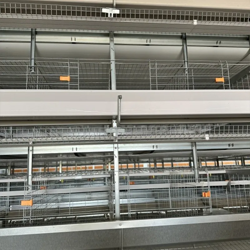 Полностью автоматические клетки для несушек для современных ферм