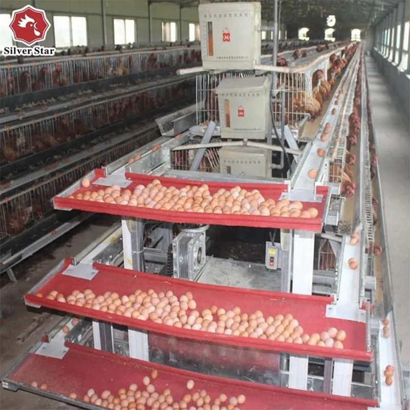 Система сбора яиц с жёлобом 10 см