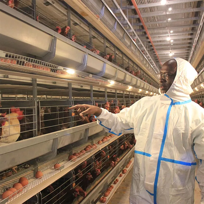 Усовершенствованная клетка для цыплят в возрасте 1 день (3–8 ярусов) для молодняка несушек