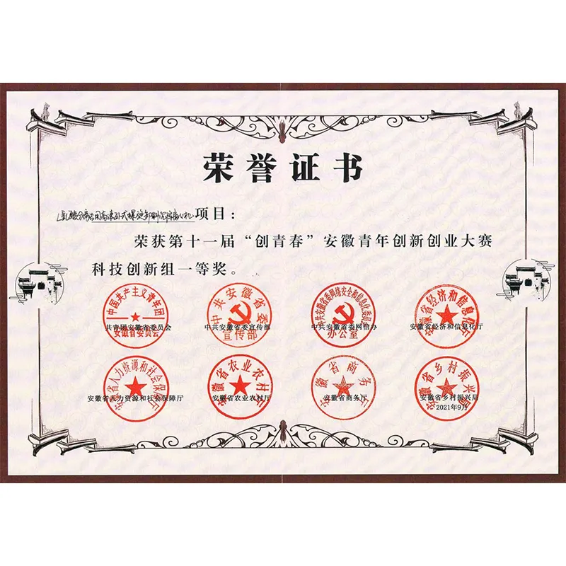 Проект ООО «Аньхой Пуюань Производство сепарационного оборудования» занял первое место на XI конкурсе молодежных инноваций и предпринимательства провинции Аньхой «Создавай молодость» (Chuang Qing Chun)