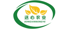 logo11