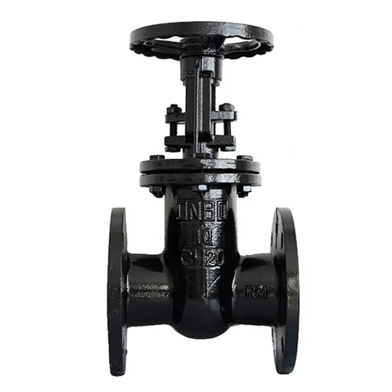 Задвижка с выдвижным шпинделем и клиновым затвором Z41TW-10/16